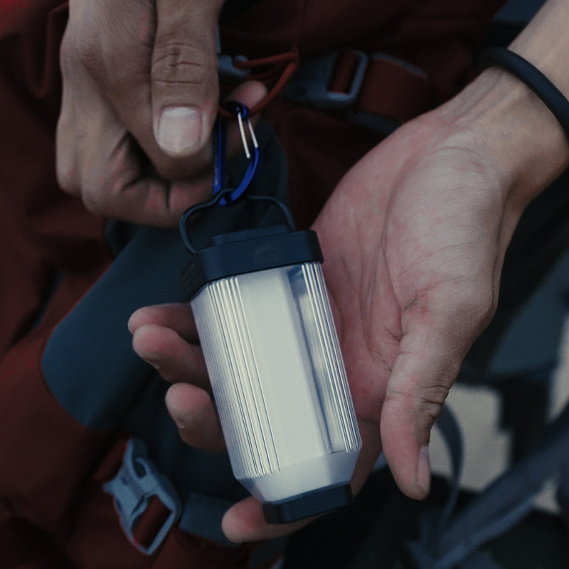 Wild Land Mini Light