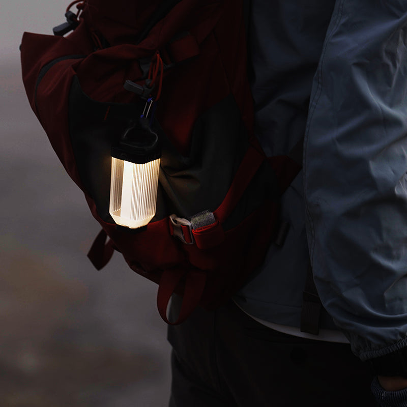 Wild Land Mini Light