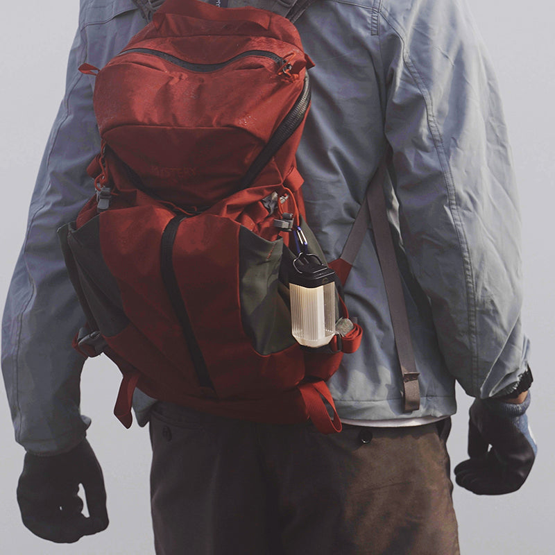 Wild Land Mini Light