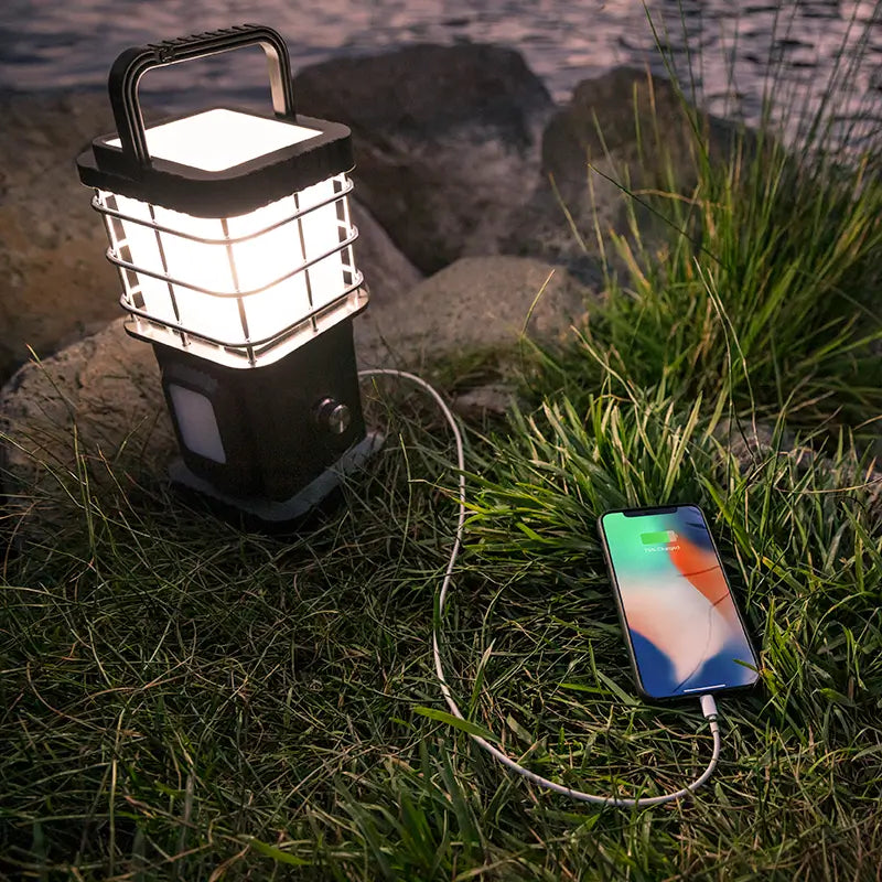 Wild Land Wildlamp