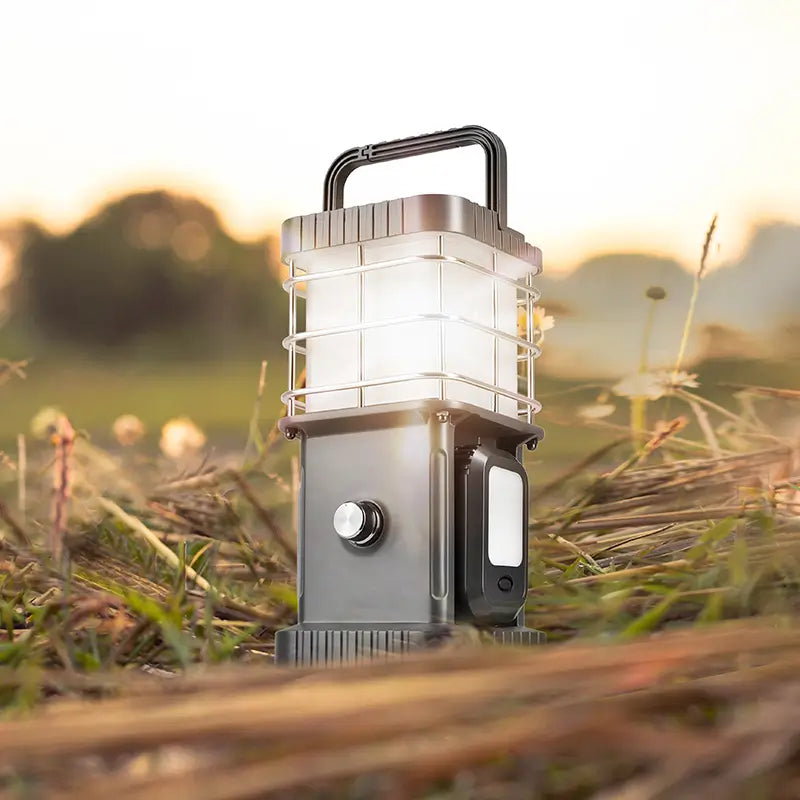 Wild Land Wildlamp