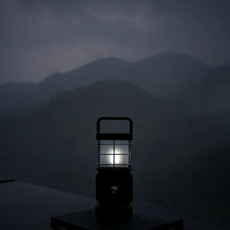Wild Land Wildlamp