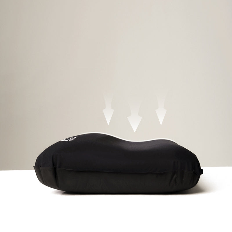 Wild Land Air Pillow