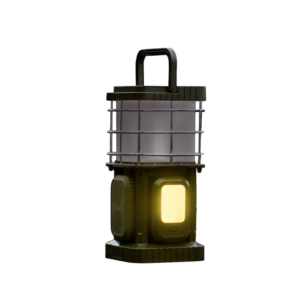 Wild Land Wildlamp